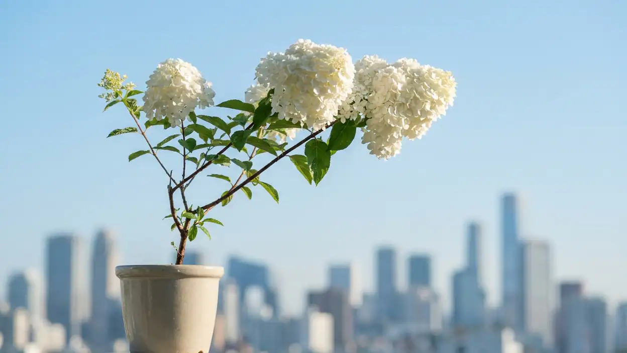 Pourquoi Weather - By Xiaomi Simplifie Votre Quotidien