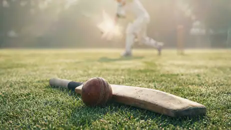 Cricket League: क्या यह गेमिंग की दुनिया में स्थायी रहेगा?