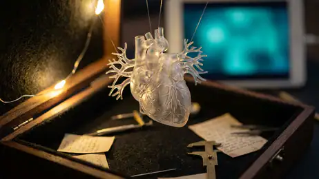 Anatomy Learning - Anatomía 3D: L'App Essenziale per Studiare il Corpo Umano