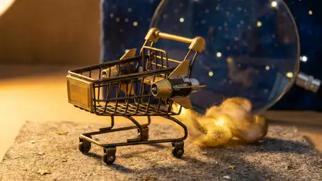 Temu: Compra da Miliardario Rivoluziona lo Shopping Mobile