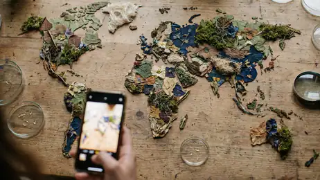 Pinterest: De Digitale Spiegel van Onze Identiteit